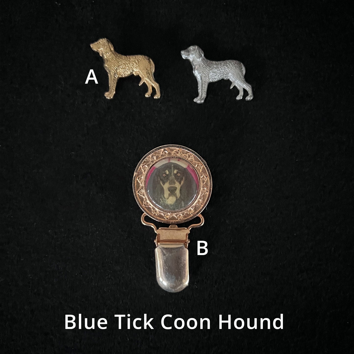 Blue Tick Coonhound - Brooches, Showclips & Tiebars