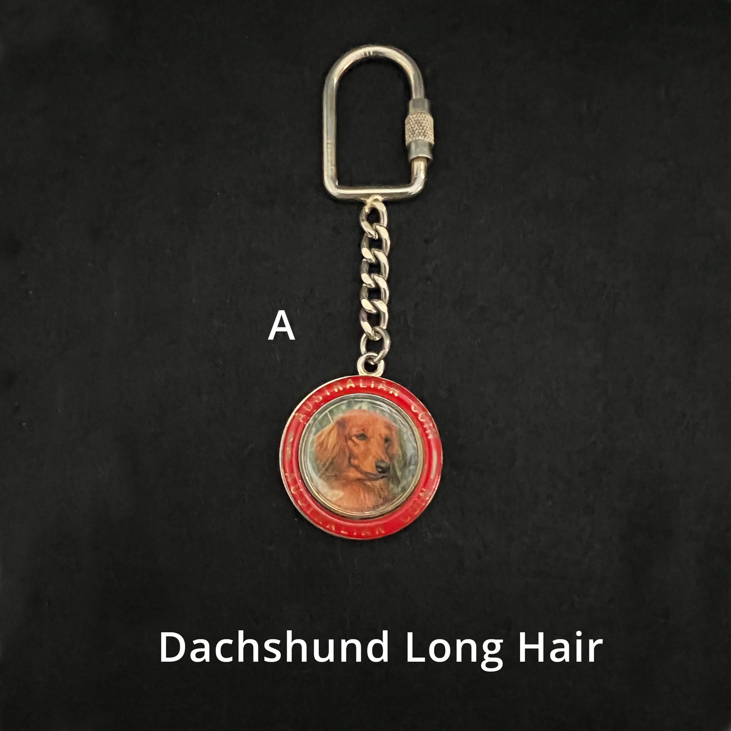 Dachshund Long Hair - Keyrings