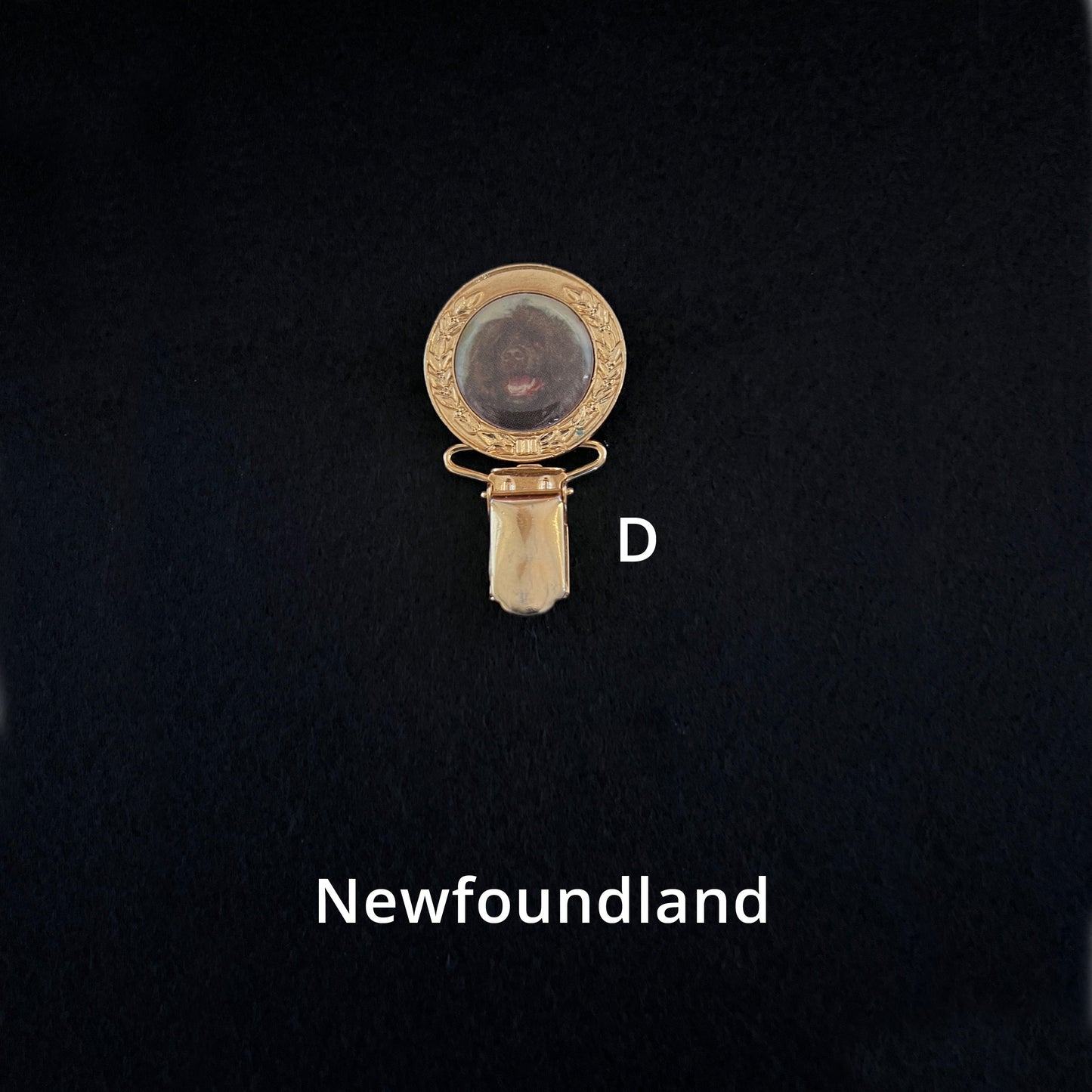 Newfoundland - Brooches, Showclips & Tiebars
