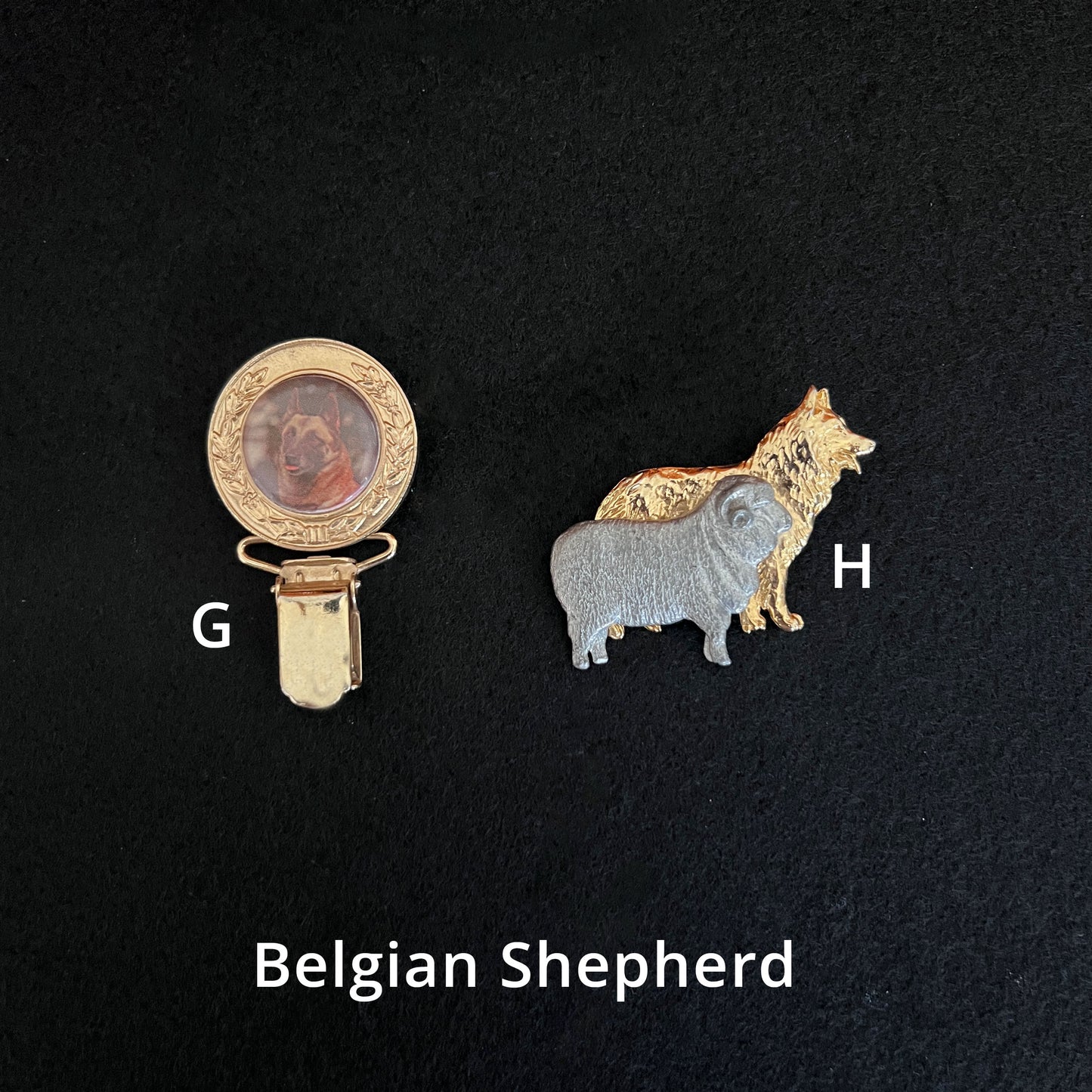 Belgian Shepherd - Brooches, Showclips & Tiebars