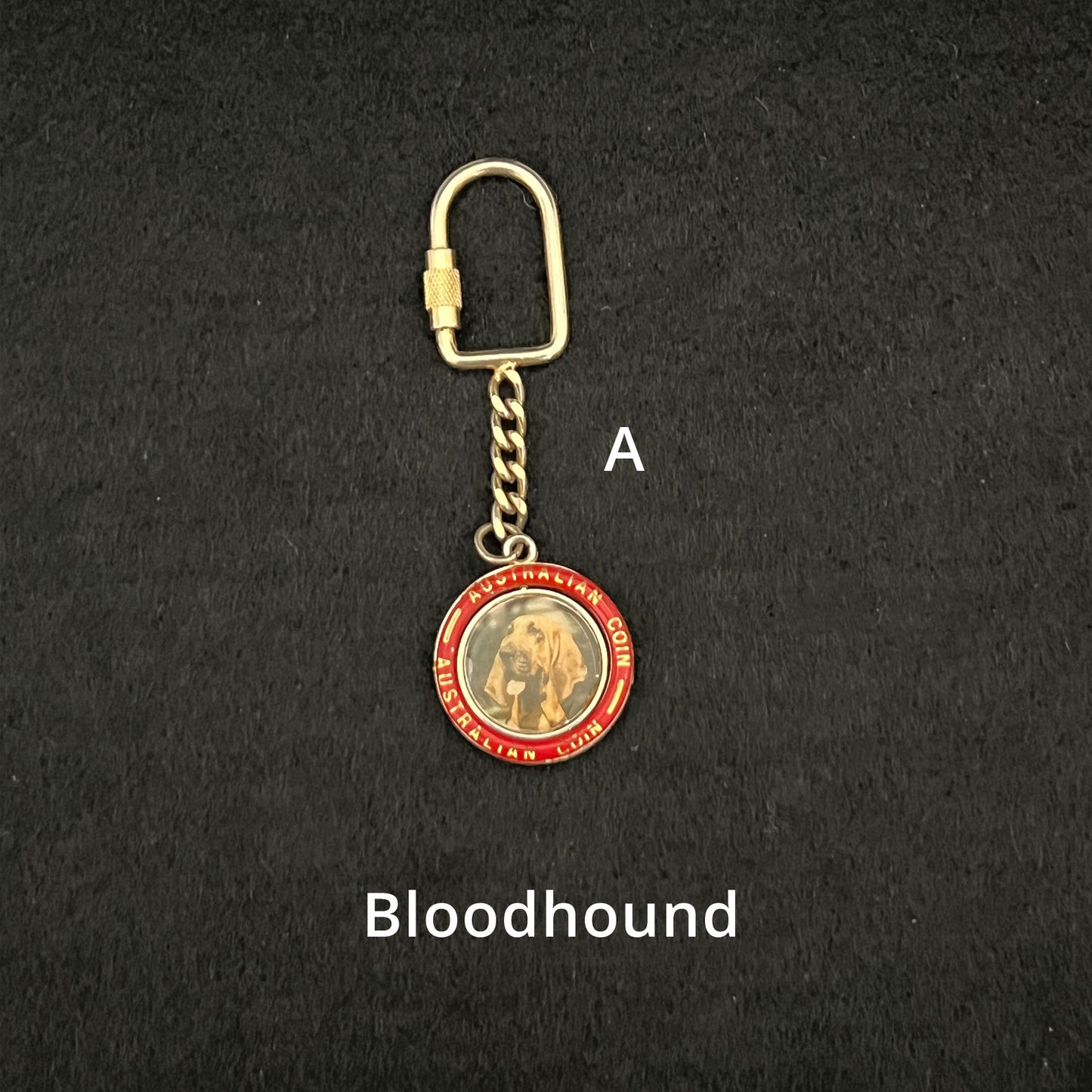 Bloodhound - Keyring