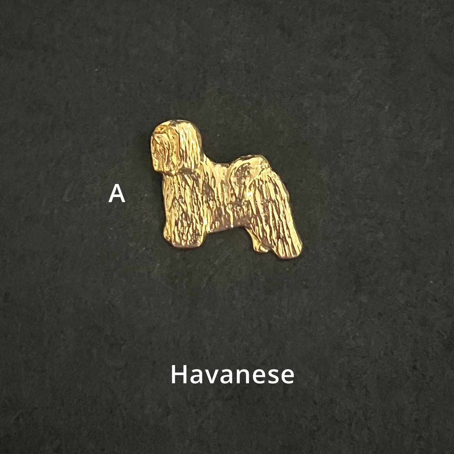 Havanese - Brooches, Showclips & Tiebars