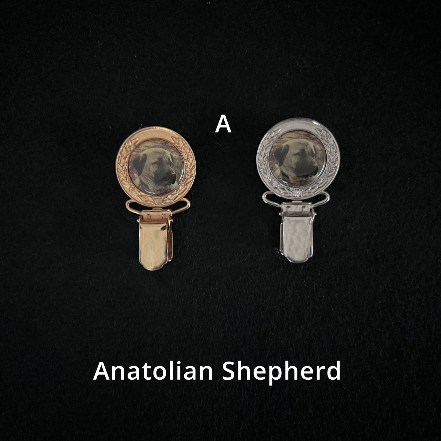 Anatolian Shepherd - Brooches, Showclips & Tiebars