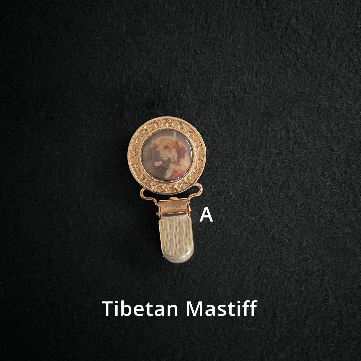 Tibetan Mastiff - Brooches, Showclips & Tiebars