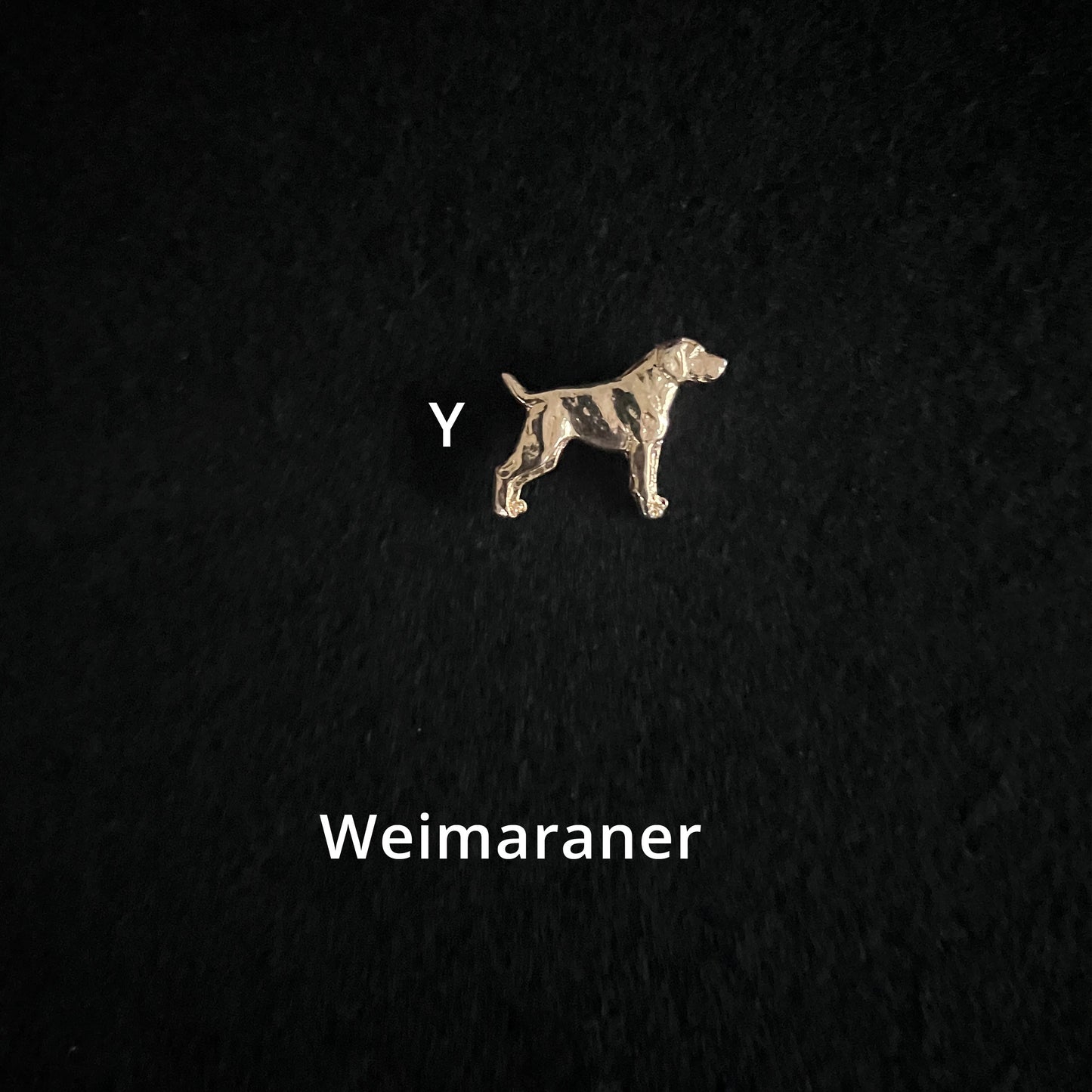 Weimaraner - Brooches, Showclips & Tiebars